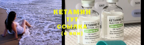 ешки Новодвинск