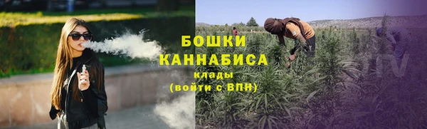 ешки Новодвинск