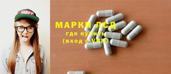 ешки Новодвинск