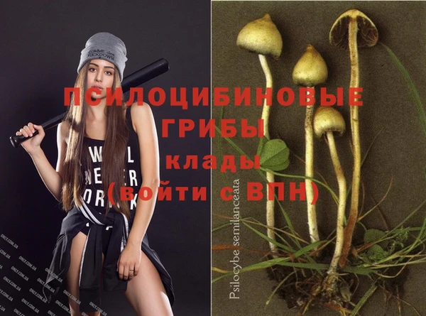 ешки Новодвинск