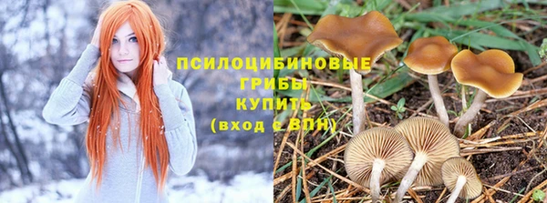 ешки Новодвинск