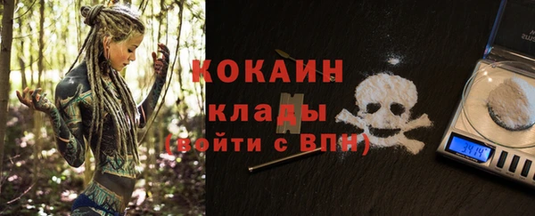 ешки Новодвинск